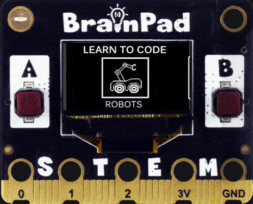 BrainPad2